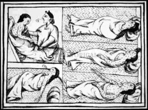 Smallpox in the New World